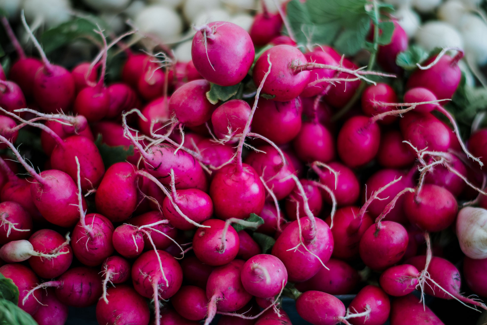 Radishes: You Want These Cool Guys At Your Market Farm Party