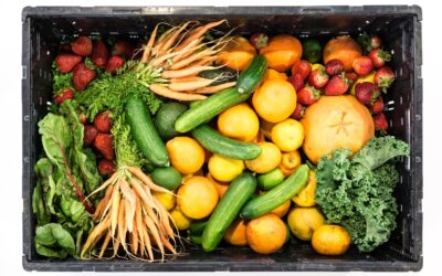 What Is a CSA and How Does It Work?