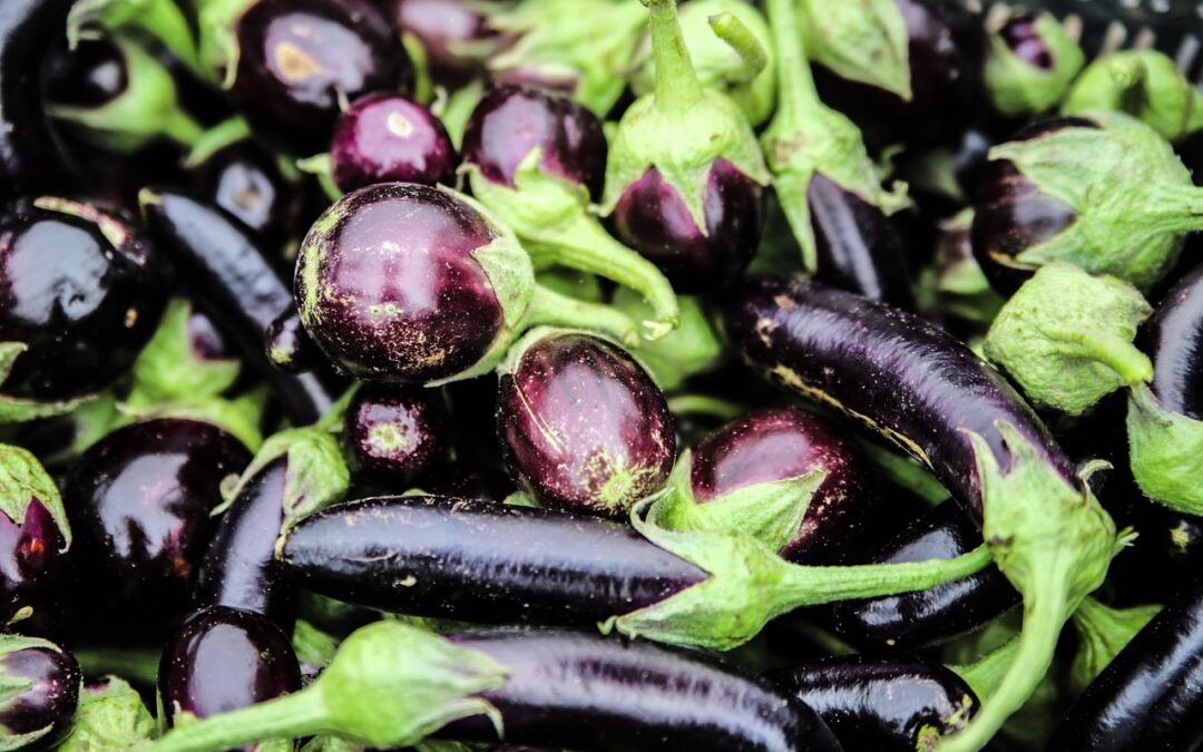 Are Eggplants Worth Growing On Your Market Farm?