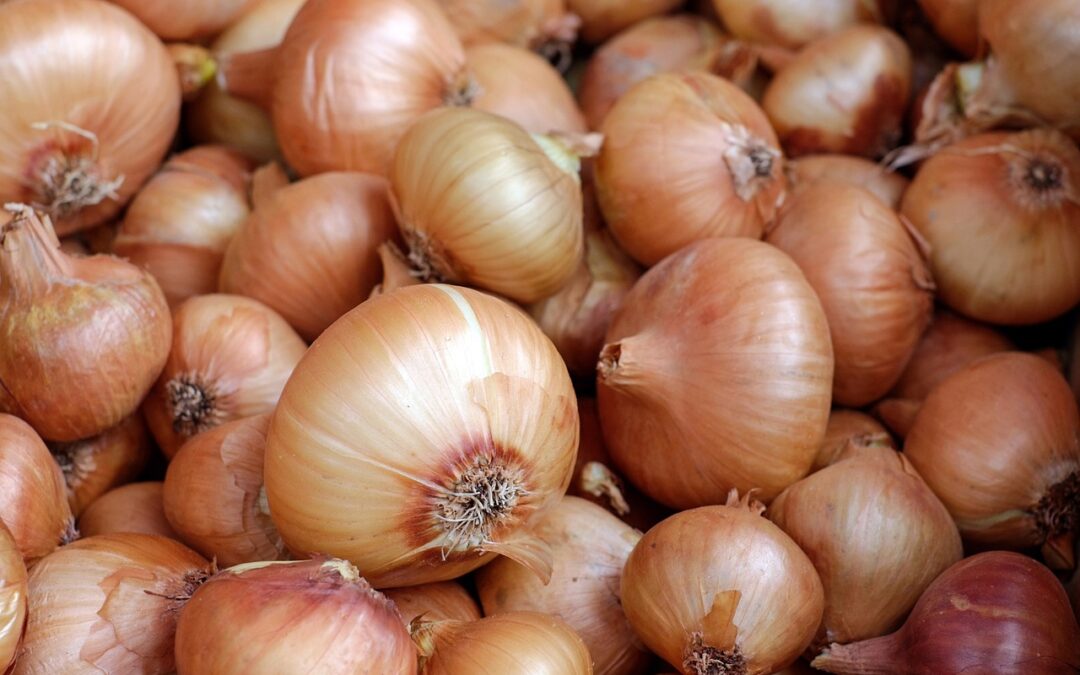 potato onions