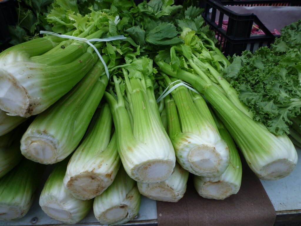 celery