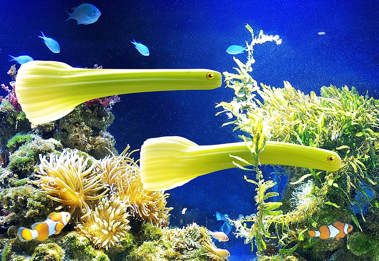 Celery: More Than Just A Caesar Garnish?