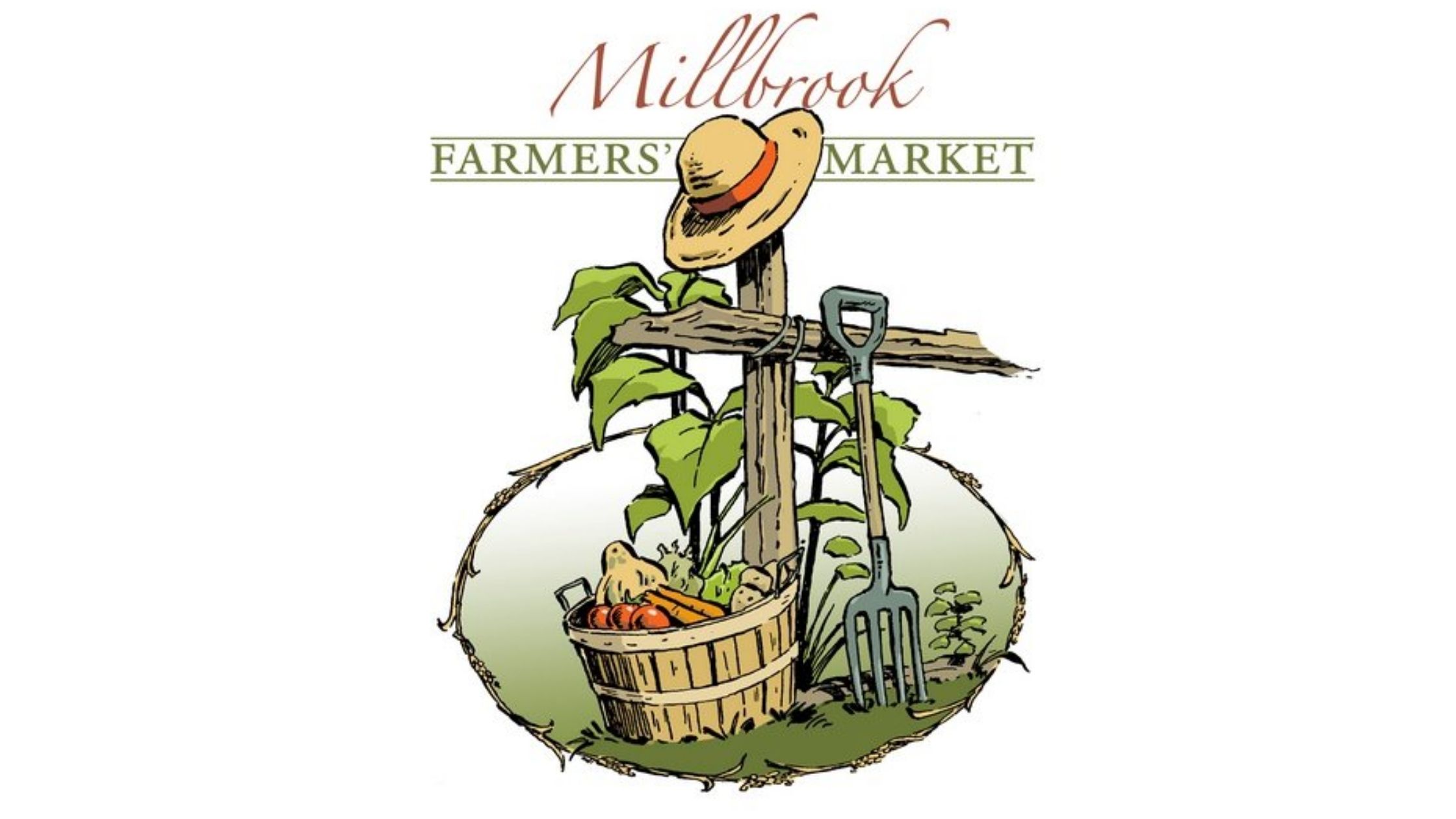 millbrook ontario farmers market