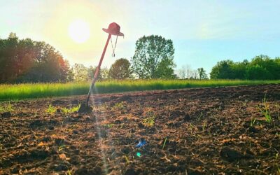 Behind The Scenes As New Market Gardeners Update May 26 – June 1, 2021